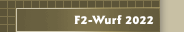 F2-Wurf 2022